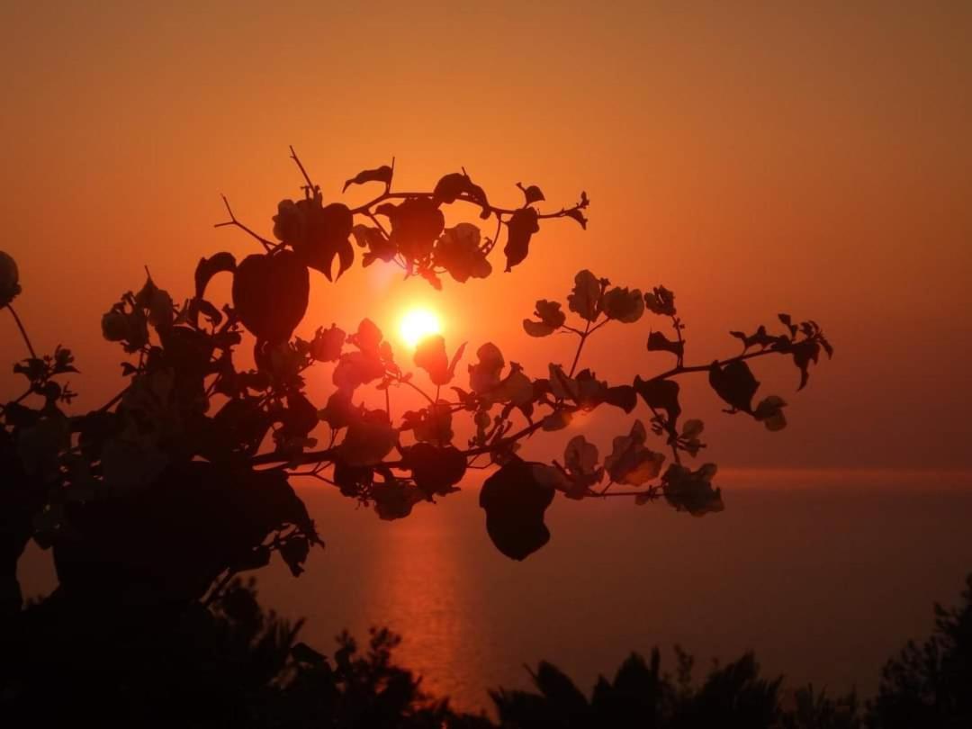 Bed and Breakfast Bb La Guardiia Anacapri  Exterior foto